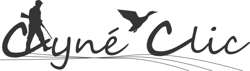 logo cyne clic