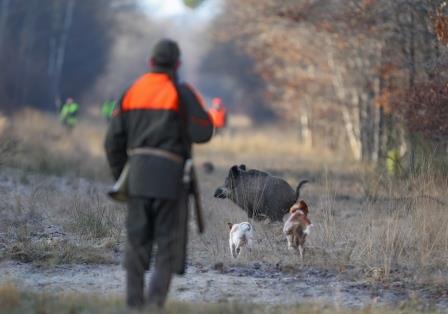 dgestim actiondechasse bois bois201400003