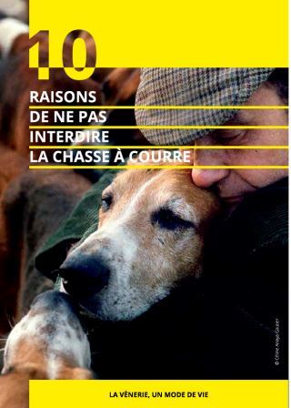 Dix raisons de ne pas interdire la chasse courre