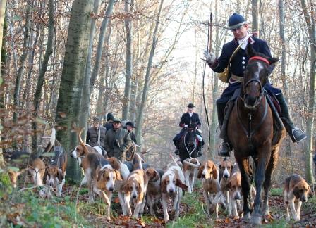 actionchasse chasse courre