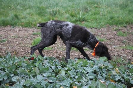 INSOLITE 2 CHATELLIER MARIE