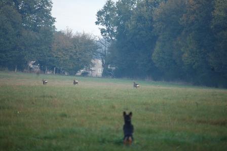 photo 3 reduit