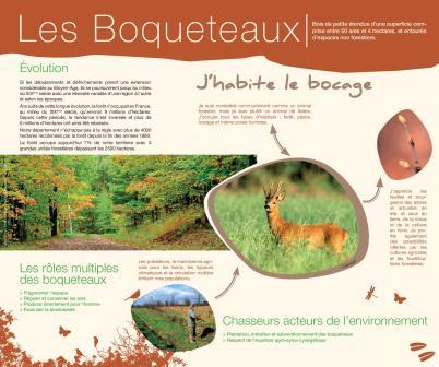 boqueteaux