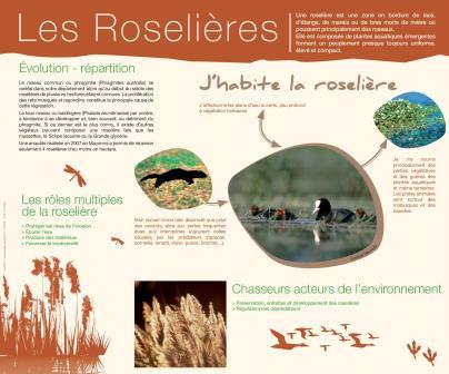 roseliere