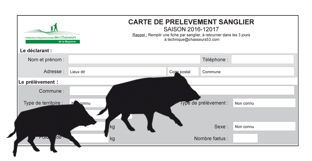 carte sanglier image v2